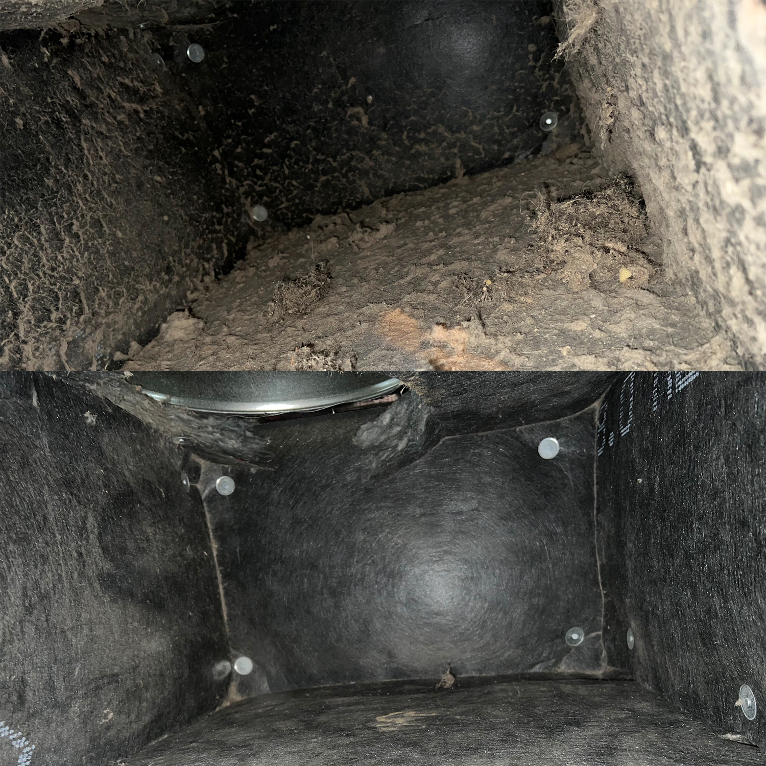 Does Air Duct Cleaning Help with Mold? - pristine air duct cleaners