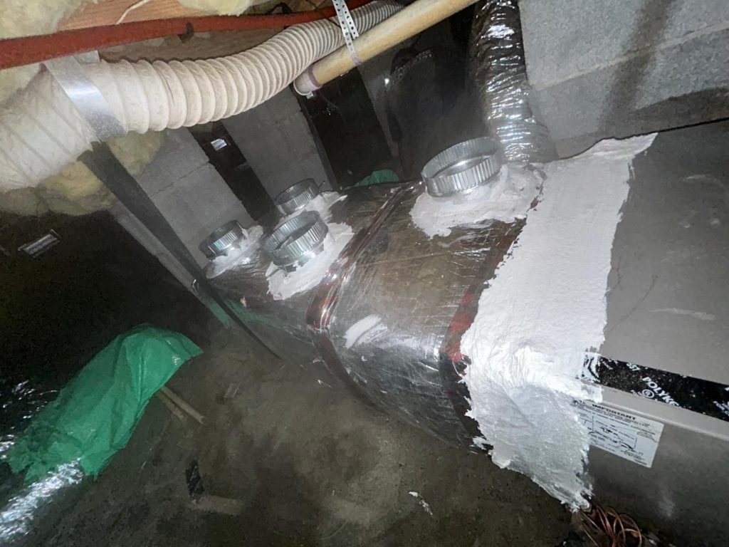 WhatsApp Image 2025 05 26 at 08 58 10 (3)