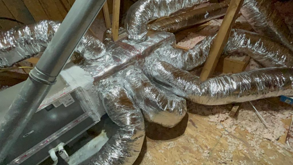 WhatsApp Image 2025 05 26 at 08 58 24 (3)