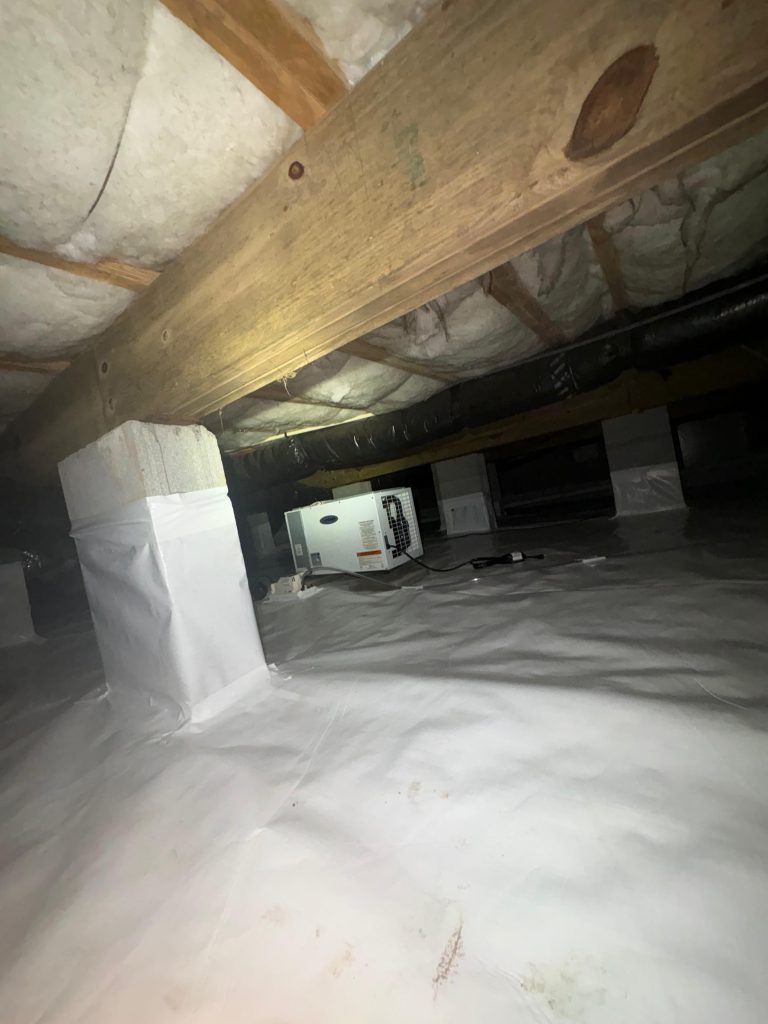 WhatsApp Image 2026 02 27 at 17 32 28 (1)