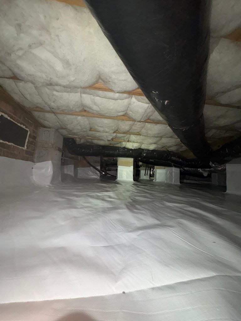 WhatsApp Image 2026 02 27 at 17 32 28