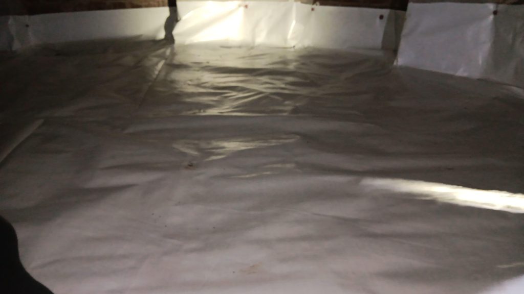 WhatsApp Image 2026 02 27 at 17 32 29 (1)