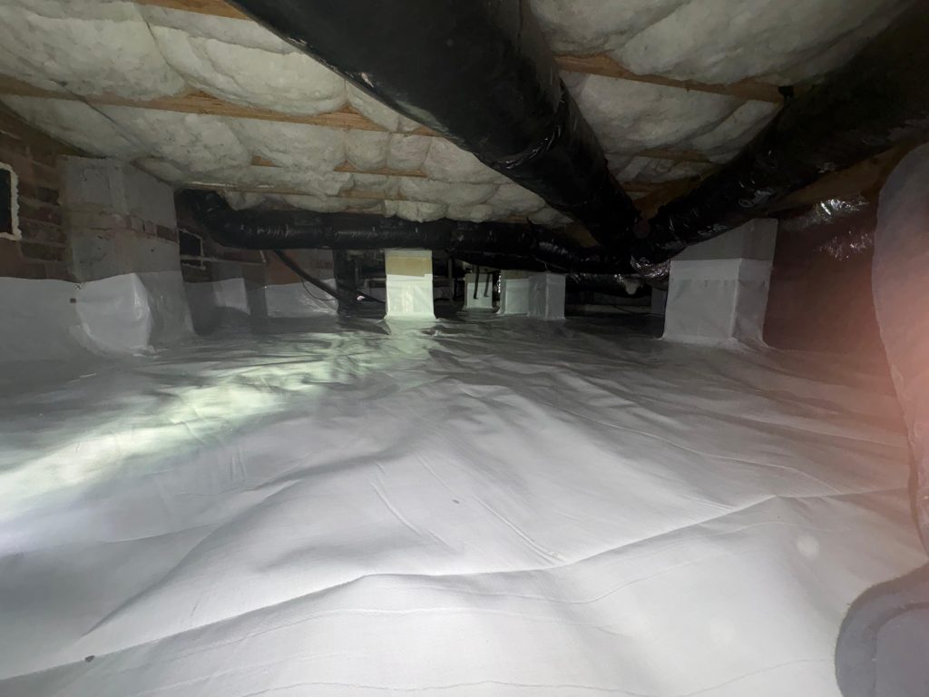 WhatsApp Image 2026 02 27 at 17 32 30