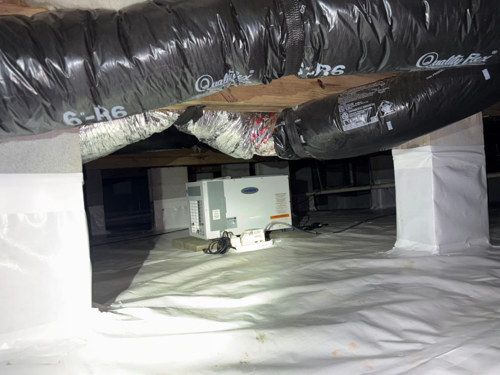 WhatsApp Image 2026 02 27 at 17 32 30 (2)