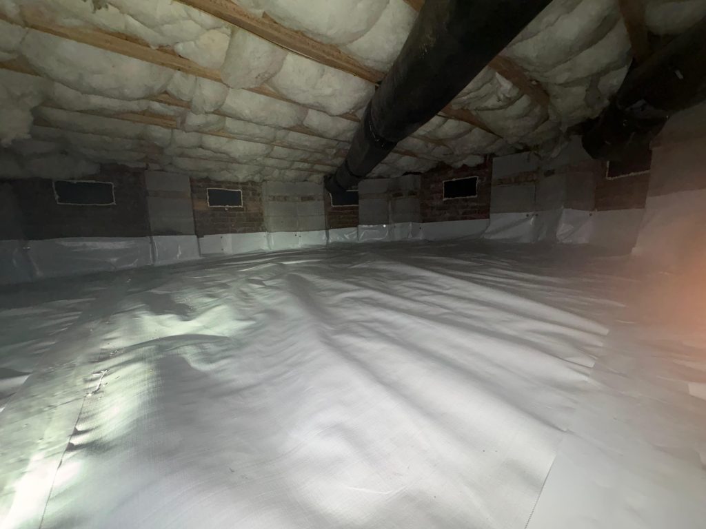 WhatsApp Image 2026 02 27 at 17 32 31 (1)