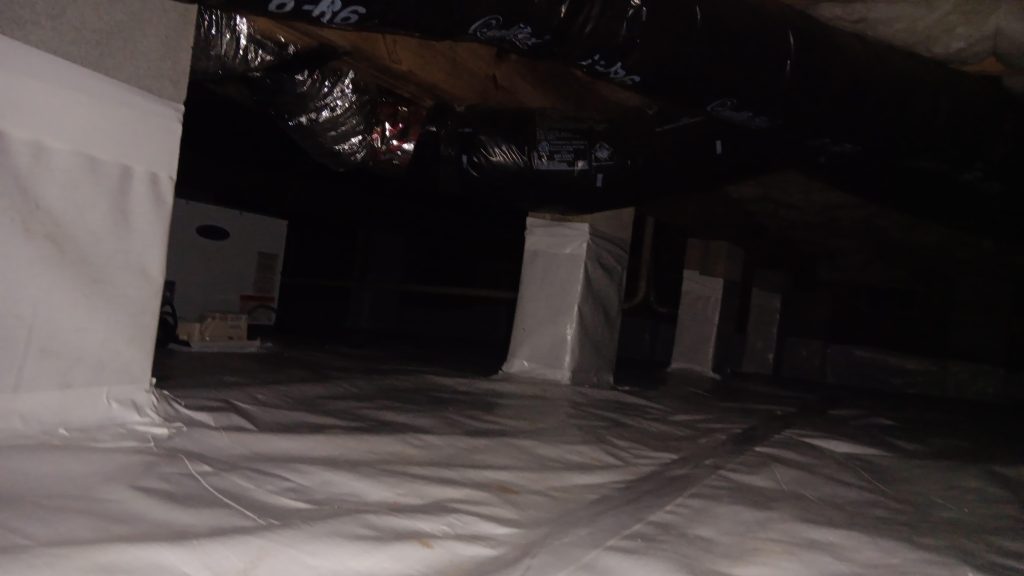 WhatsApp Image 2026 02 27 at 17 32 31 (4)