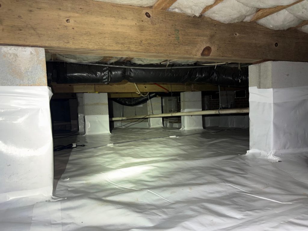 WhatsApp Image 2026 02 27 at 17 32 32