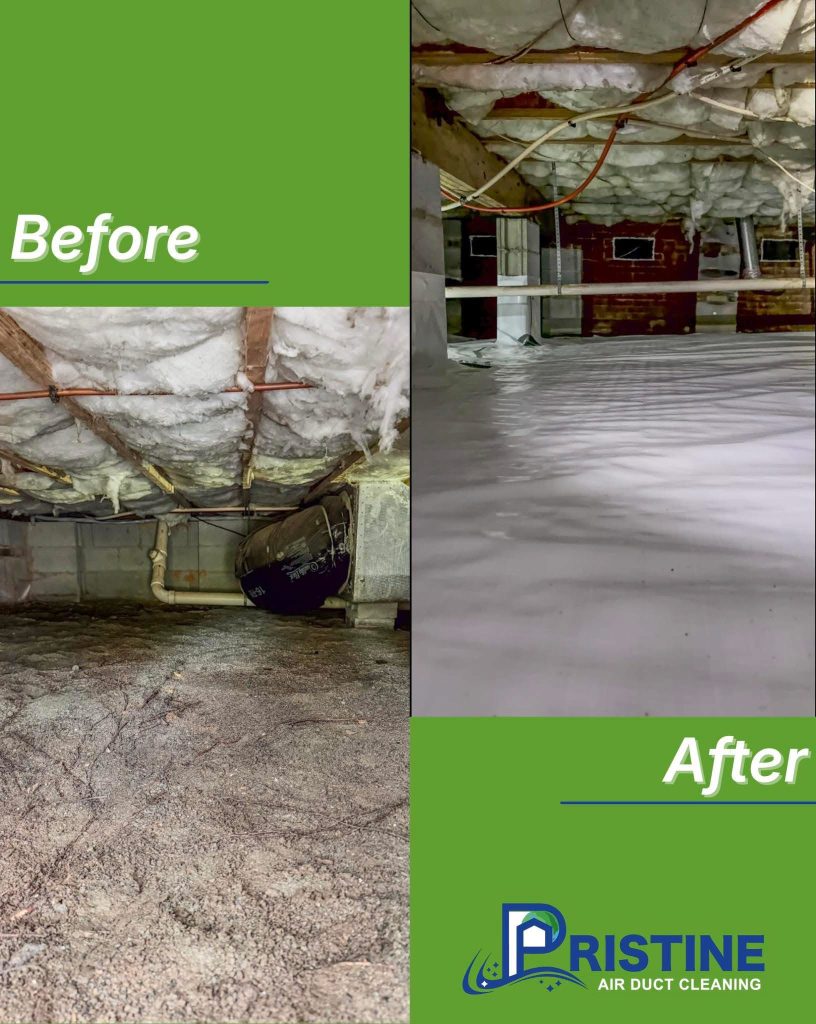 WhatsApp Image 2026 04 17 at 13 50 24